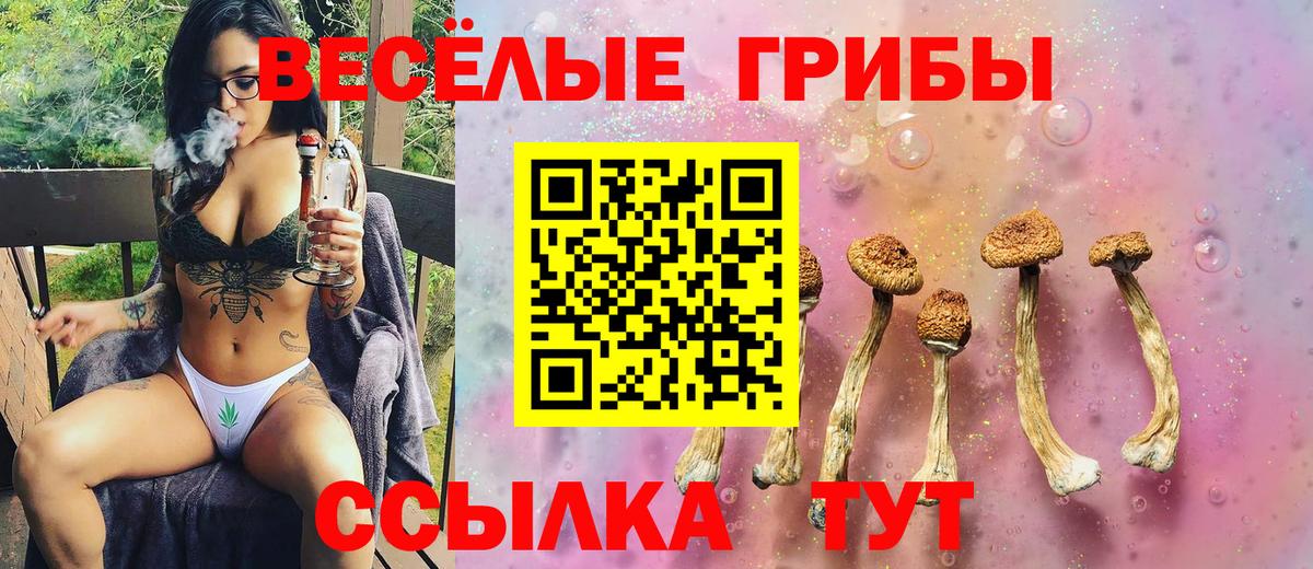 Псилоцибиновые грибы Psilocybine cubensis  Вход с VPN  Псилоцибиновые грибы Magic Shrooms  сколько стоит  Октябрьский 